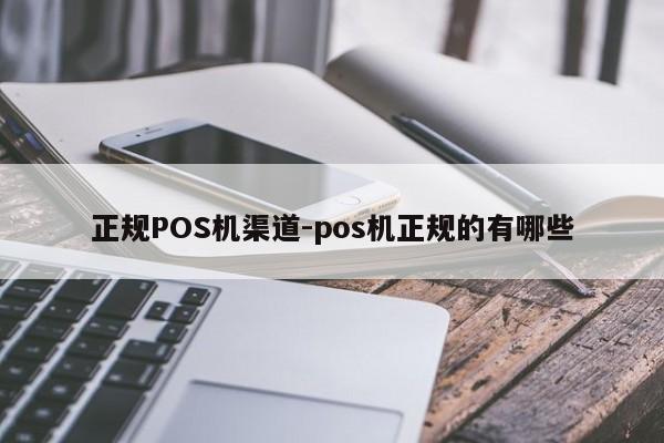 遵化正规POS机渠道-pos机正规的有哪些